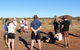 Aboriginal Homelands Experience From Ayers Rock Including Sunset - thumb 11