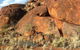 Aboriginal Homelands Experience From Ayers Rock Including Sunset - thumb 9