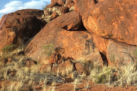 Aboriginal Homelands Experience From Ayers Rock Including Sunset - Maitland Accommodation 9