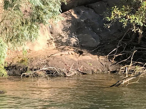 Nitmiluk (Katherine) Gorge 3.5-Hour Sunset Dinner Boat Tour - Maitland Accommodation 4