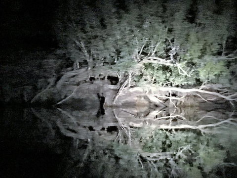 Nitmiluk (Katherine) Gorge 3.5-Hour Sunset Dinner Boat Tour - Maitland Accommodation 8