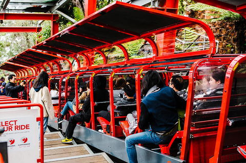 All-Inclusive Blue Mountains Day Trip With River Cruise - Maitland Accommodation 7