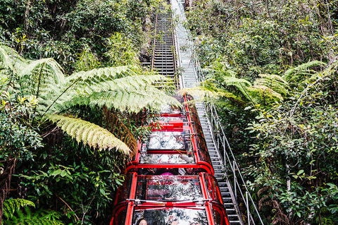 All-Inclusive Blue Mountains Day Trip With River Cruise - Maitland Accommodation 6