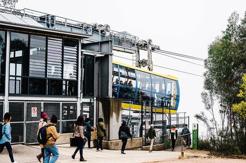 All-Inclusive Blue Mountains Day Trip With River Cruise - Maitland Accommodation 9