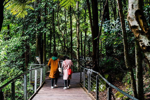 All-Inclusive Blue Mountains Day Trip With River Cruise - Maitland Accommodation 10