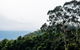 All-Inclusive Blue Mountains Day Trip With River Cruise - thumb 18
