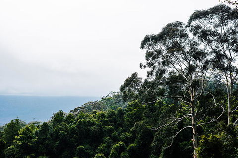 All-Inclusive Blue Mountains Day Trip With River Cruise - Maitland Accommodation 18