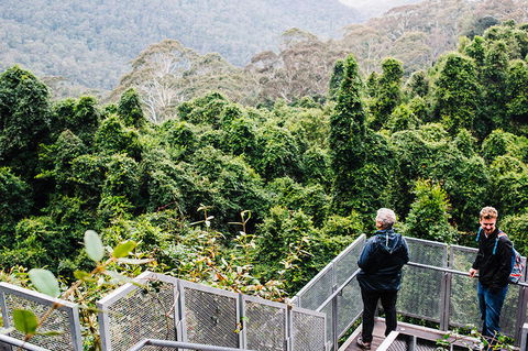 All-Inclusive Blue Mountains Day Trip With River Cruise - Maitland Accommodation 2