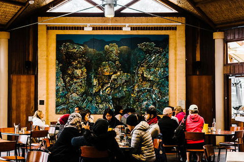 All-Inclusive Blue Mountains Day Trip With River Cruise - Maitland Accommodation 13