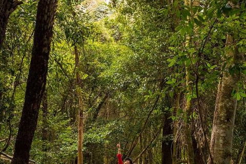 All-Inclusive Blue Mountains Day Trip With River Cruise - Maitland Accommodation 26