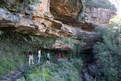 All-Inclusive Blue Mountains Day Trip With River Cruise - Maitland Accommodation 38