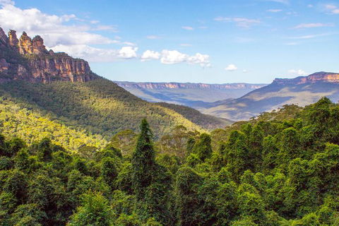 All-Inclusive Blue Mountains Day Trip With River Cruise - Maitland Accommodation 28