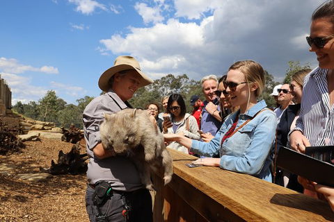 All-Inclusive Blue Mountains Day Trip With River Cruise - Maitland Accommodation 27