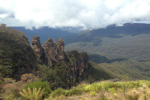 All-Inclusive Blue Mountains Tour In A Luxury Mercedes Sprinter - Maitland Accommodation 11