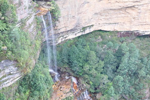 All-Inclusive Blue Mountains Tour In A Luxury Mercedes Sprinter - Maitland Accommodation 17