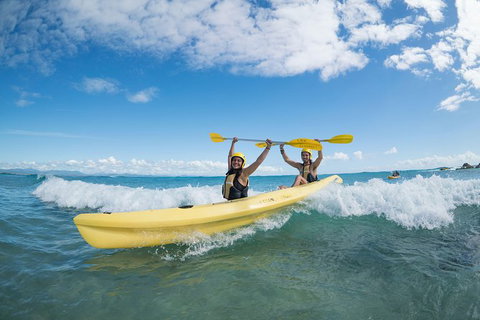 Kayaking With Dolphins In Byron Bay Guided Tour - Maitland Accommodation 16
