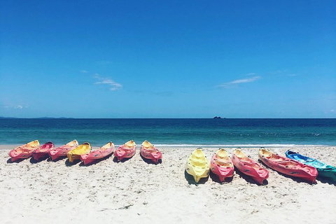 Kayaking With Dolphins In Byron Bay Guided Tour - Maitland Accommodation 20