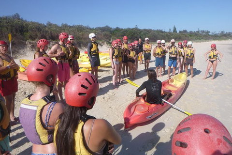 Kayaking With Dolphins In Byron Bay Guided Tour - Maitland Accommodation 4