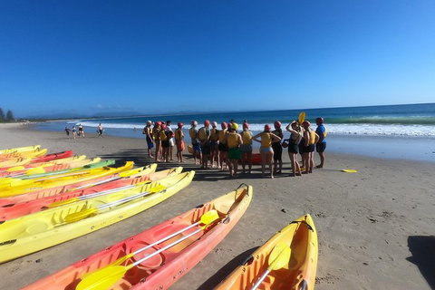 Kayaking With Dolphins In Byron Bay Guided Tour - Maitland Accommodation 17