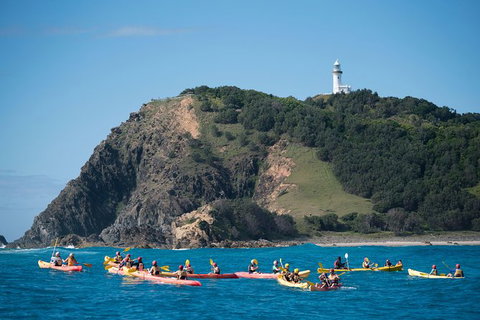 Kayaking With Dolphins In Byron Bay Guided Tour - Maitland Accommodation 2