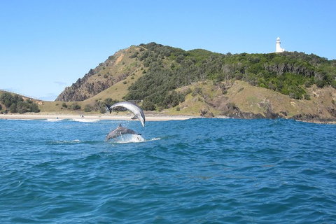 Kayaking With Dolphins In Byron Bay Guided Tour - Maitland Accommodation 8