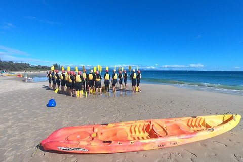 Kayaking With Dolphins In Byron Bay Guided Tour - Maitland Accommodation 3