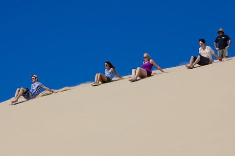 Port Stephens Day Tour From Sydney Including 4WD, Sandboarding And Dolphins - Maitland Accommodation 1