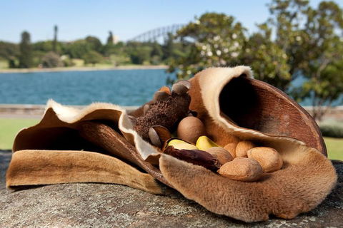 Aboriginal Heritage Tour At The Royal Botanic Garden Sydney - Maitland Accommodation 7