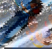 Coffs Harbour Ground Rush or Max Freefall Tandem Skydive on the Beach - Maitland Accommodation