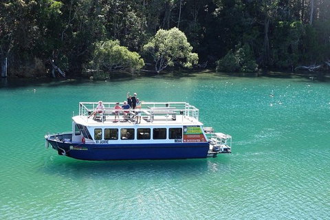 Brunswick Heads Rainforest Eco-Cruise - Maitland Accommodation 0
