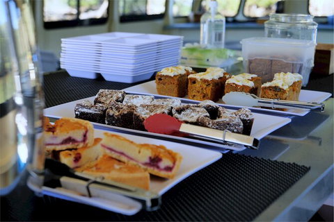 Brunswick Heads Rainforest Eco-Cruise - Maitland Accommodation 4