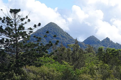 Brunswick Heads Rainforest Eco-Cruise - Maitland Accommodation 3