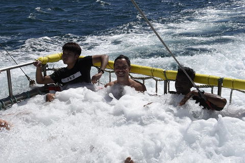 Jervis Bay Boom Netting And Dolphins Tour - Maitland Accommodation 9