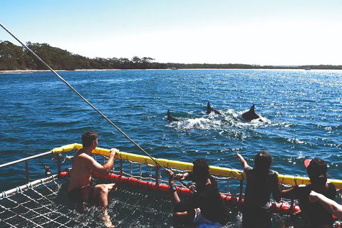 Jervis Bay Boom Netting And Dolphins Tour - Maitland Accommodation 2