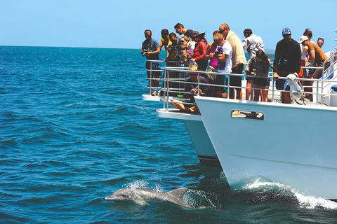 Jervis Bay Boom Netting And Dolphins Tour - Maitland Accommodation 10