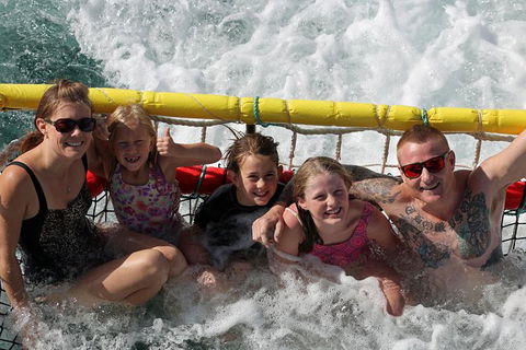 Jervis Bay Boom Netting And Dolphins Tour - Maitland Accommodation 11