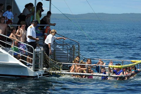 Jervis Bay Boom Netting And Dolphins Tour - Maitland Accommodation 5
