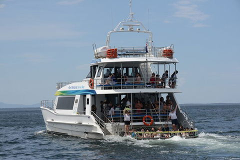 Jervis Bay Boom Netting And Dolphins Tour - Maitland Accommodation 12