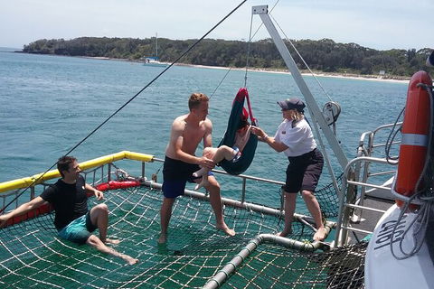 Jervis Bay Boom Netting And Dolphins Tour - Maitland Accommodation 7