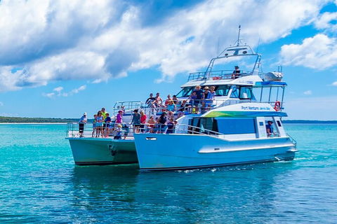 Jervis Bay Boom Netting And Dolphins Tour - Maitland Accommodation 3