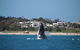 Byron Bay Whale Watching Cruise - thumb 11