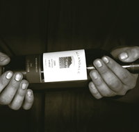 Allandale Winery - Maitland Accommodation