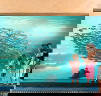 AQWA the Aquarium of Western Australia - Maitland Accommodation