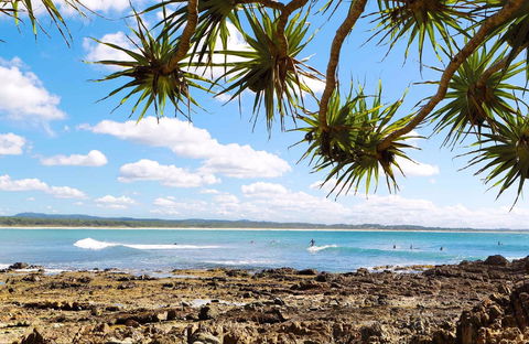 Arrawarra-Corindi Beach - Maitland Accommodation 0
