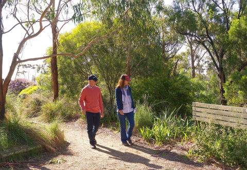 Arthurs Seat Circuit Walk - Maitland Accommodation 0