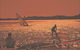 Australind - thumb 1