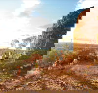 Baldy Top Lookout - Maitland Accommodation