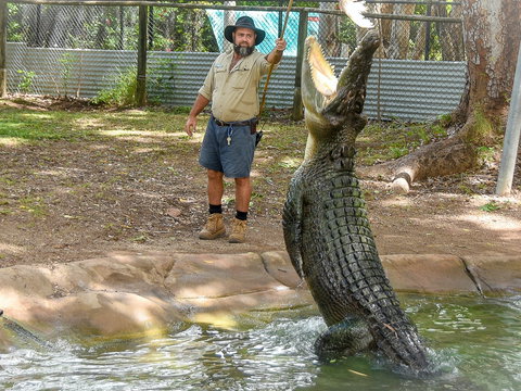 Billabong Sanctuary - Maitland Accommodation 1
