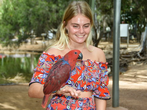 Billabong Sanctuary - Maitland Accommodation 2