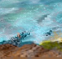 Birdwatching on the Fraser Coast - Maitland Accommodation